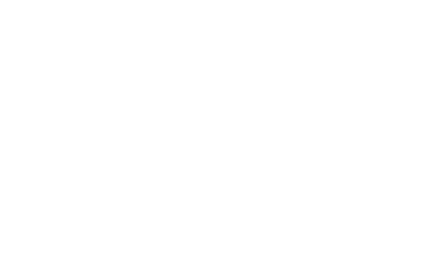 Solotone Logo